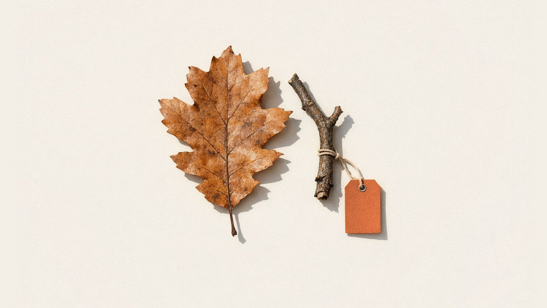 A dry oak leaf beside a bare twig with a blank orange tag