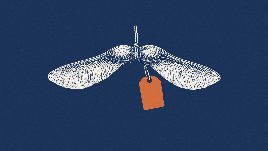 Engraving of a pair of joined maple seeds with a blank orange tag on navy