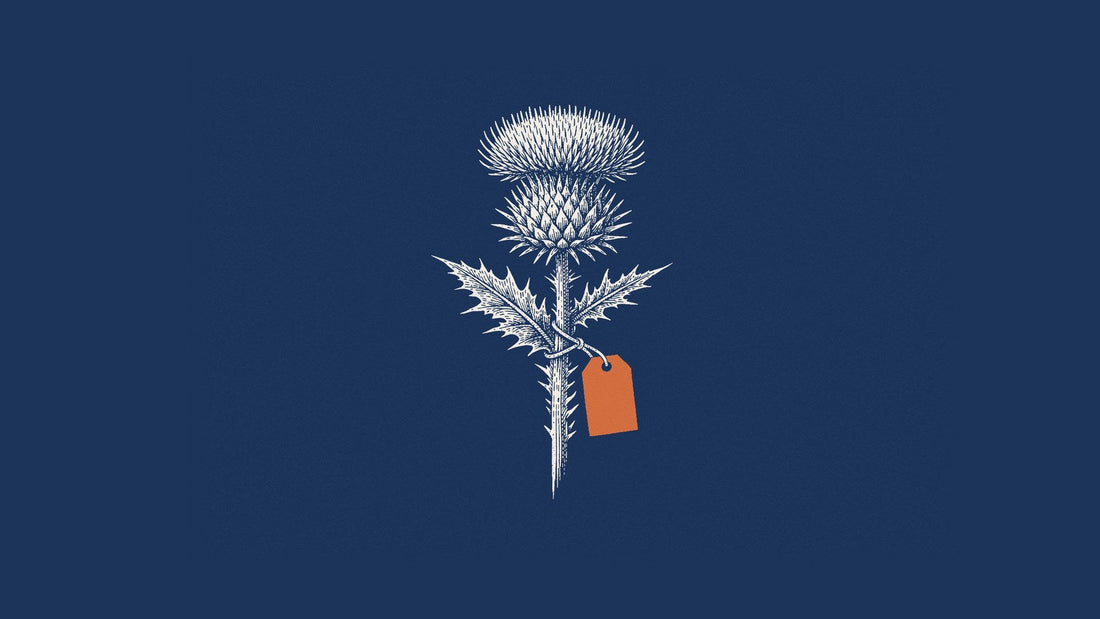 Engraving of a thistle flower with a blank orange tag on navy