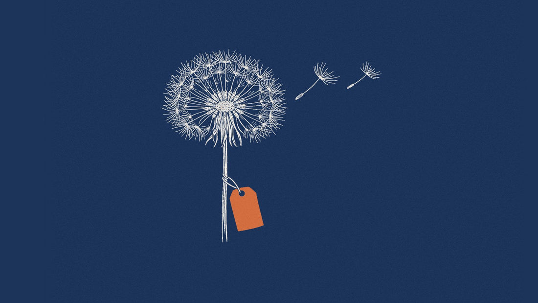 Engraving of a dandelion seed head with seeds drifting and a blank orange tag on navy