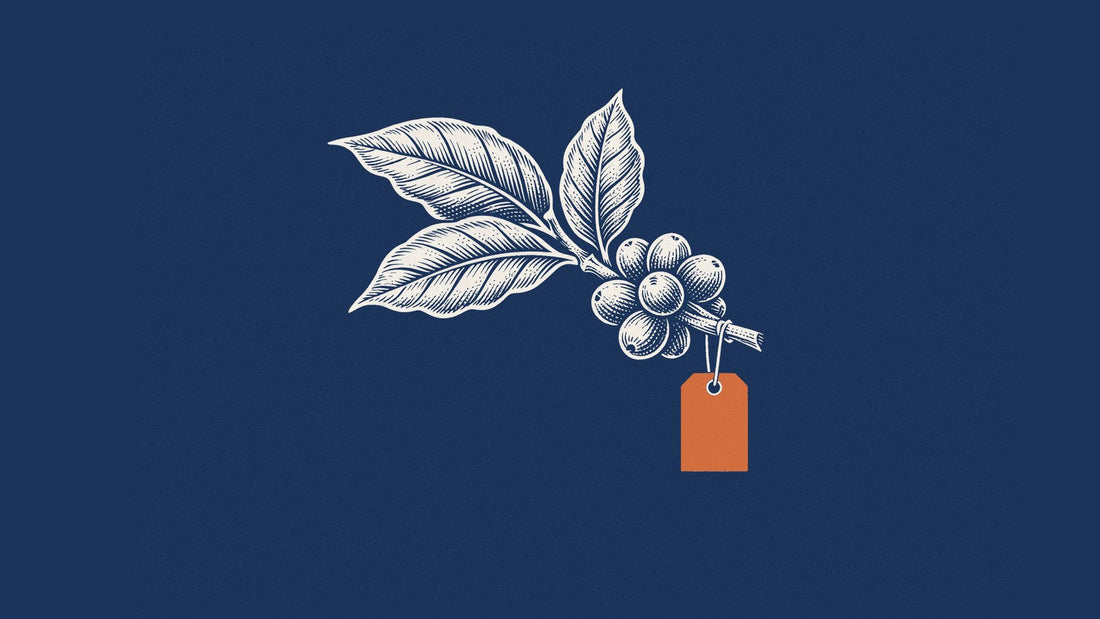 An engraved coffee plant branch with three leaves and a cluster of coffee cherries, with a blank orange tag, on navy